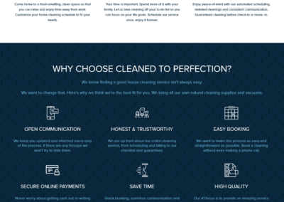 wecleanfection.com