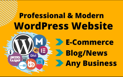 professional modern wordpress business or blog website